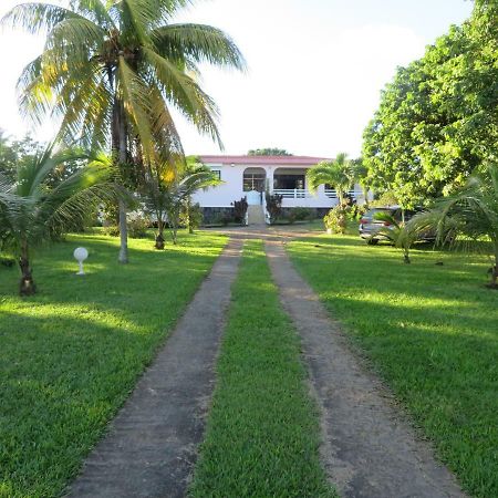 Ti Cajou Apartment Baie-Mahault Exterior photo
