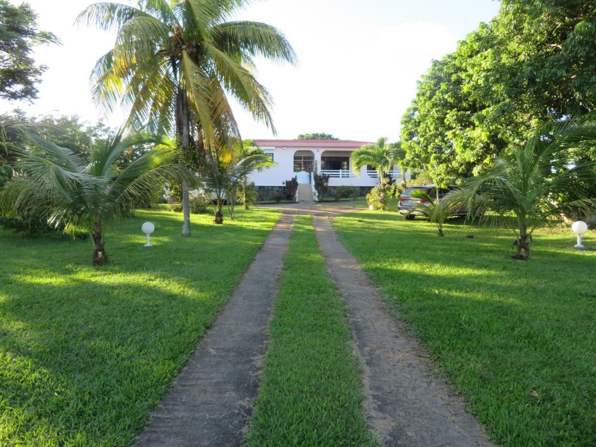 Ti Cajou Apartment Baie-Mahault Exterior photo